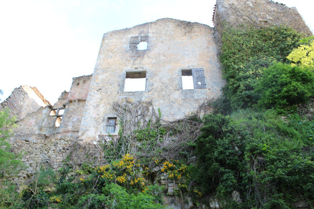 Photography Image 12